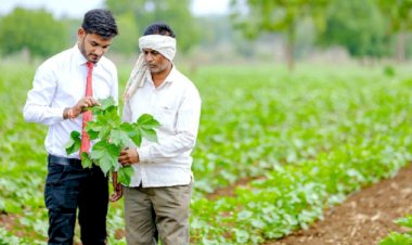 Mukhyamantri Krishak Udhyami Yojana