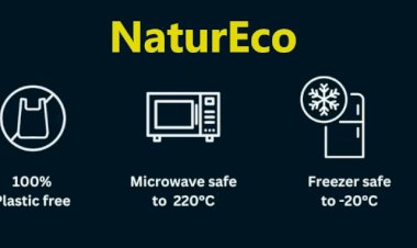 Startups and Sustainability: Innovations for a Greener Future