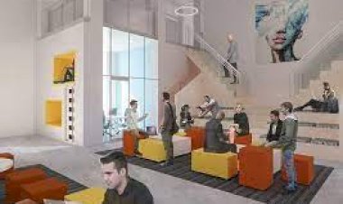 The Anatomy of a Successful Incubation Program: Key Components and Best Practices