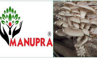 CULTIVATING SUSTAINABILITY: THE INSPIRING JOURNEY OF MANUPRA FOODS