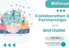 Boosting Innovation Ecosystems: How WIIFOURM Empowers Incubators