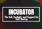 From Idea to Impact: How Incubators Help Startups Grow