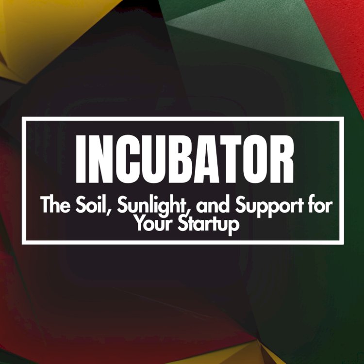 From Idea to Impact: How Incubators Help Startups Grow