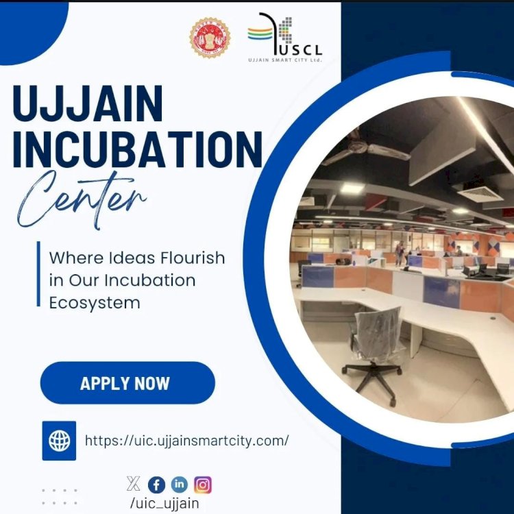 From Idea to Impact: How Incubators Help Startups Grow