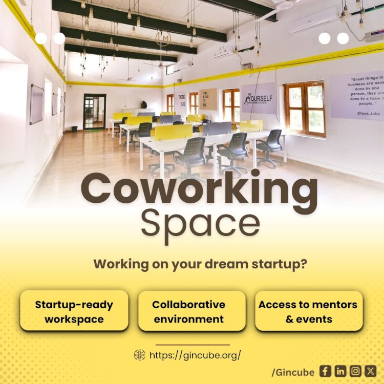 From Idea to Impact: How Incubators Help Startups Grow