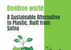 Bomboo World: Crafting Sustainable Alternatives for a Plastic-Free Future