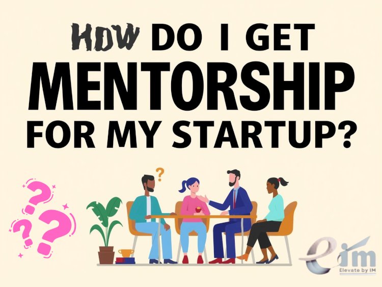 How Do I Get Mentorship for My Startup?